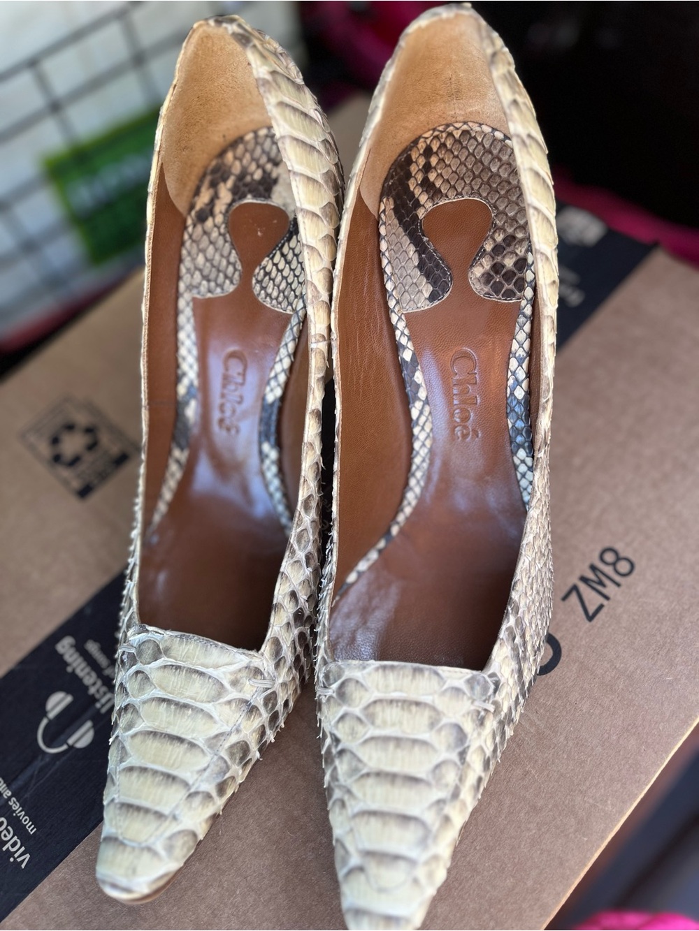 Chloe Python Leather Pointed Toe Pumps cream black sz 38.5 heels sz 8.5 u.s